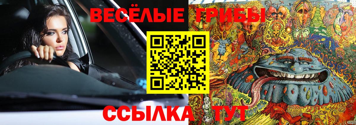 Наро-Фоминск  сколько стоит  Вход с VPN  Псилоцибиновые грибы MAGIC MUSHROOMS 